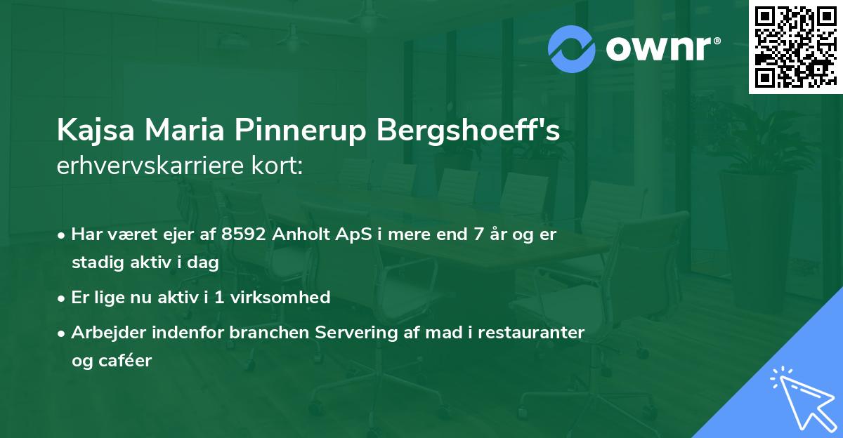 Kajsa Maria Pinnerup Bergshoeff's erhvervskarriere kort