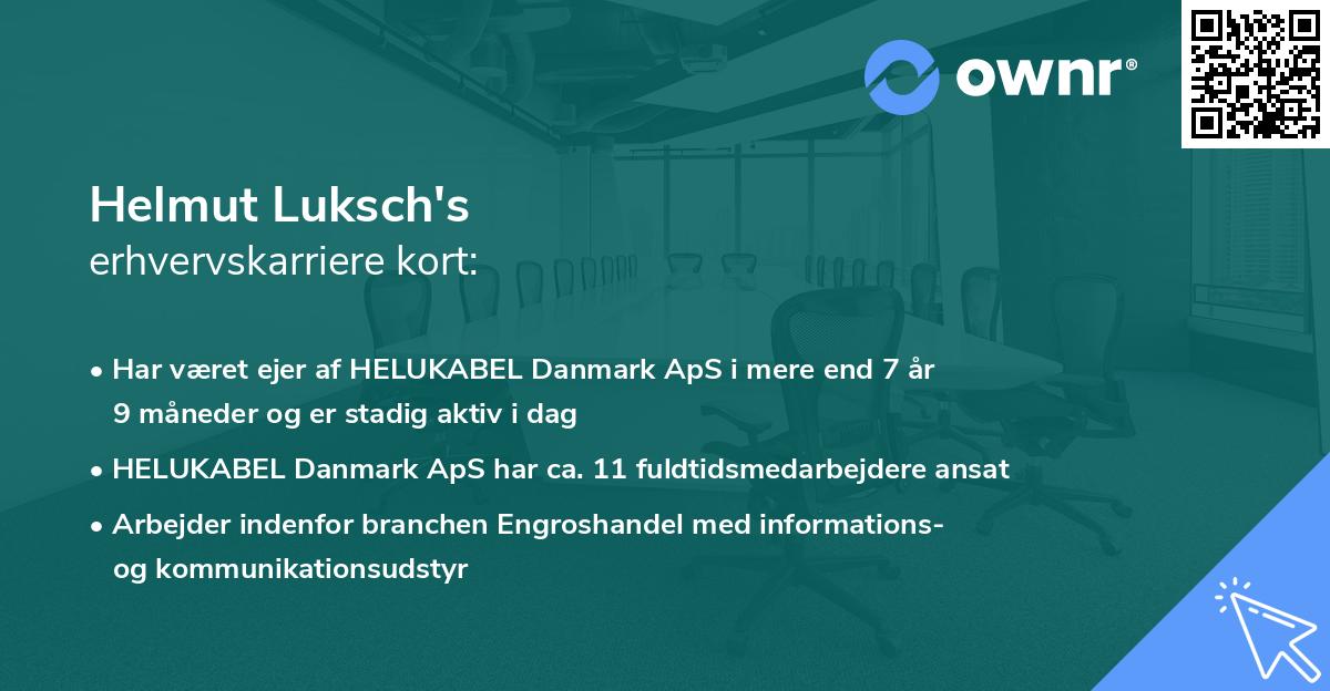 Helmut Luksch's erhvervskarriere kort