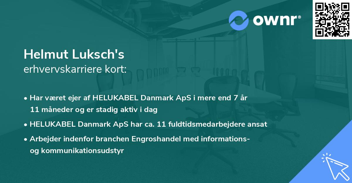 Helmut Luksch's erhvervskarriere kort