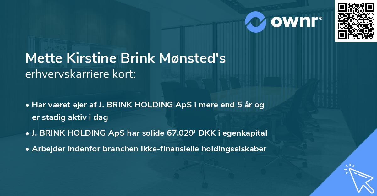 Mette Kirstine Brink Mønsted's erhvervskarriere kort