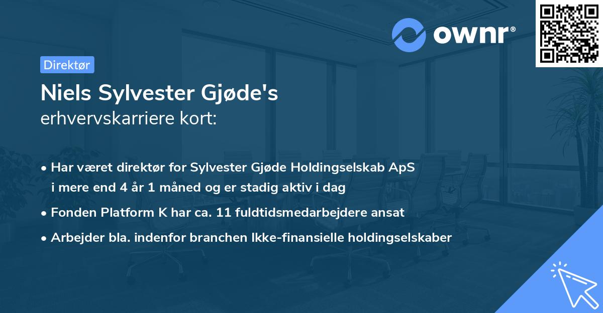 Niels Sylvester Gjøde's erhvervskarriere kort