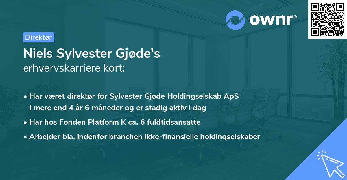 Niels Sylvester Gjøde's erhvervskarriere kort