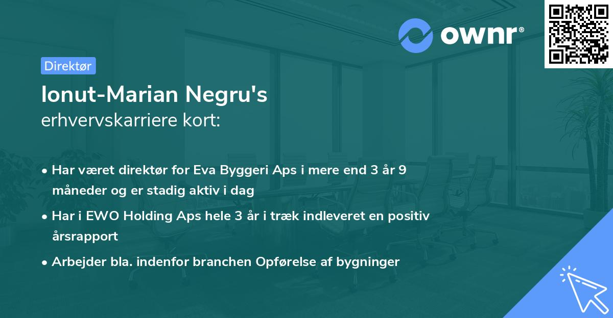 Ionut-Marian Negru's erhvervskarriere kort