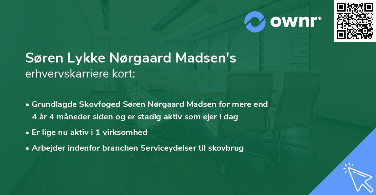 Søren Lykke Nørgaard Madsen's erhvervskarriere kort