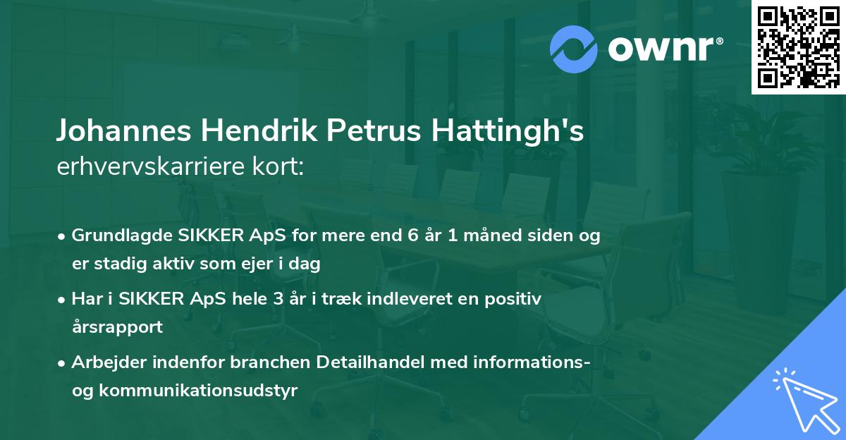 Johannes Hendrik Petrus Hattingh's erhvervskarriere kort