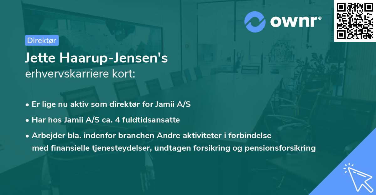 Jette Haarup-Jensen's erhvervskarriere kort