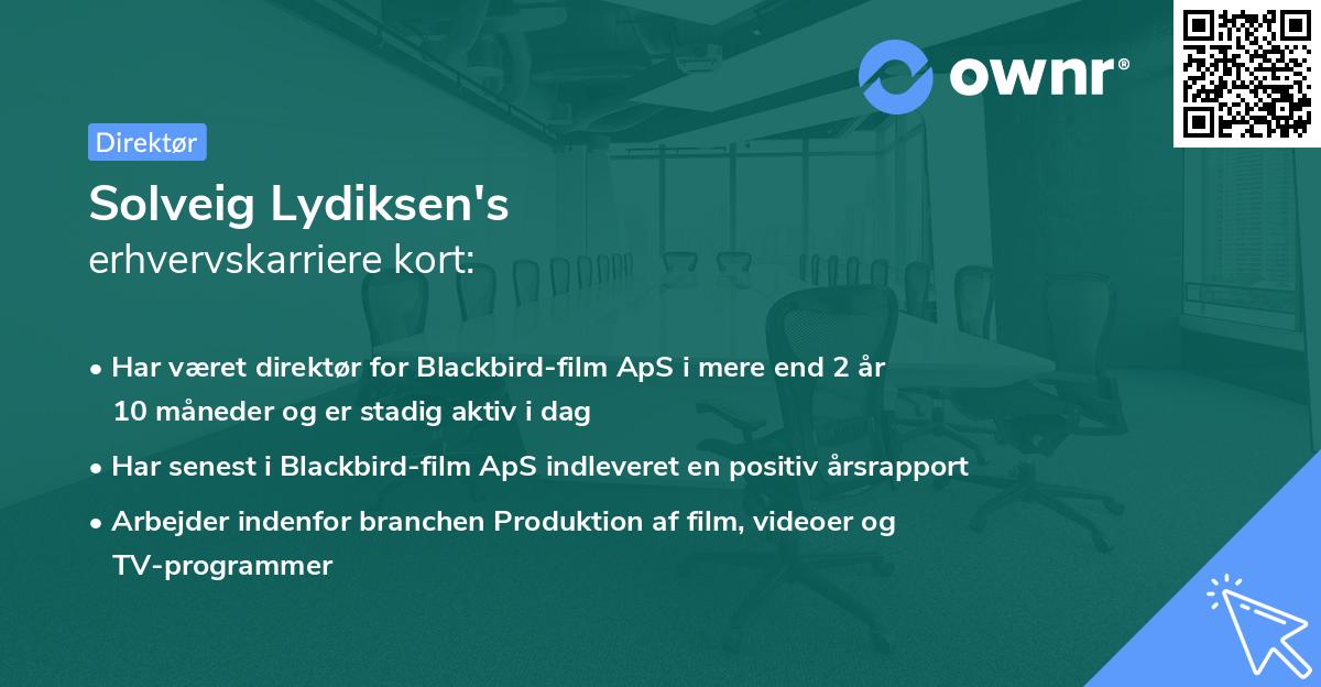 Solveig Lydiksen's erhvervskarriere kort