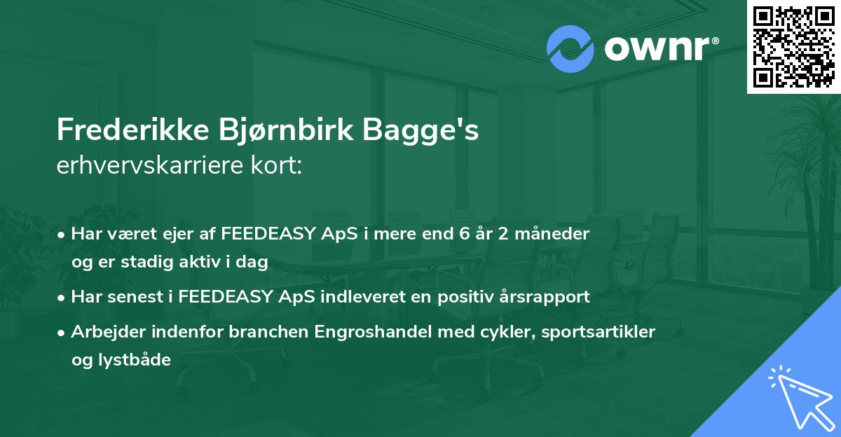 Frederikke Bjørnbirk Bagge's erhvervskarriere kort