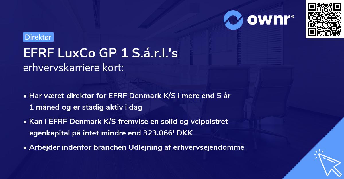 EFRF LuxCo GP 1 S.á.r.l.'s erhvervskarriere kort