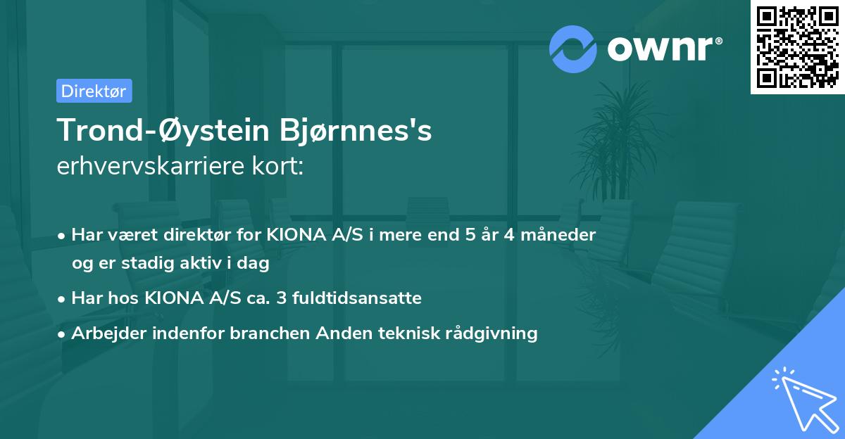 Trond-Øystein Bjørnnes's erhvervskarriere kort