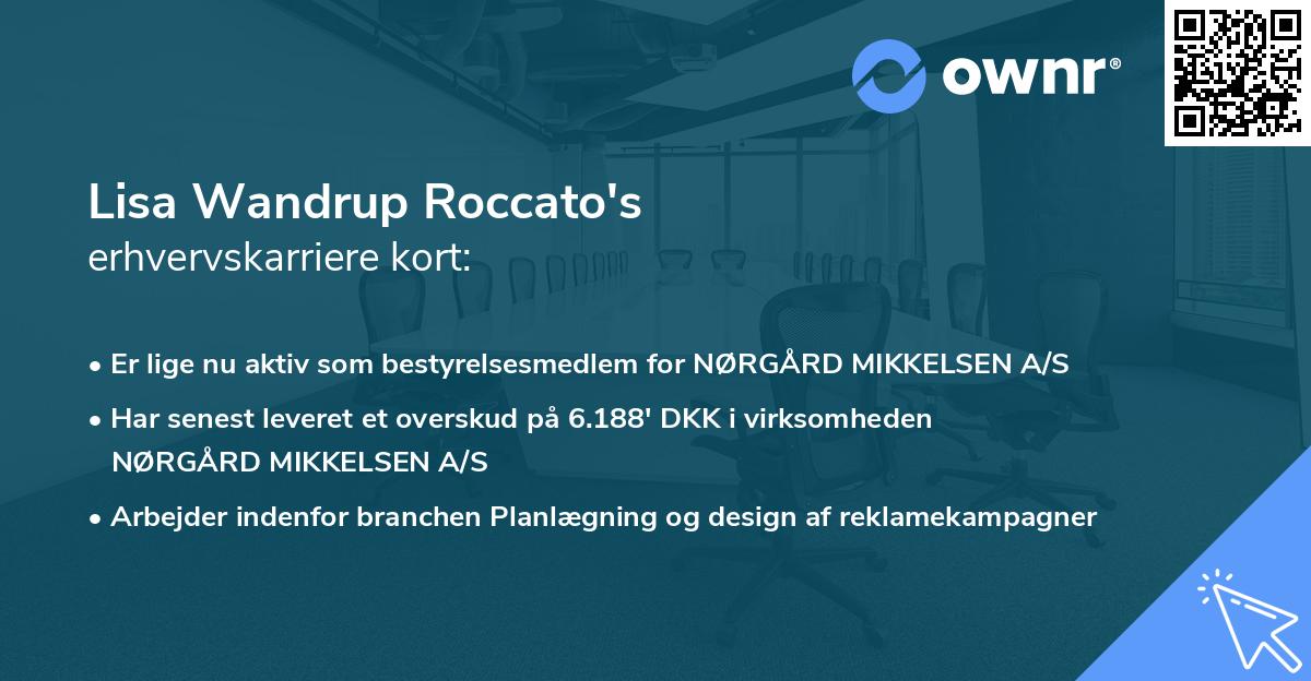 Lisa Wandrup Roccato's erhvervskarriere kort