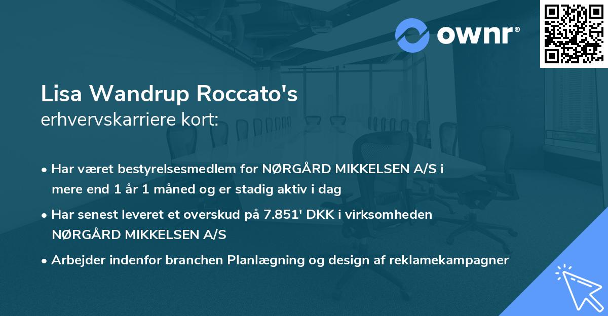 Lisa Wandrup Roccato's erhvervskarriere kort