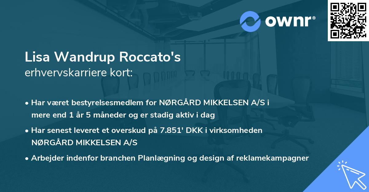 Lisa Wandrup Roccato's erhvervskarriere kort