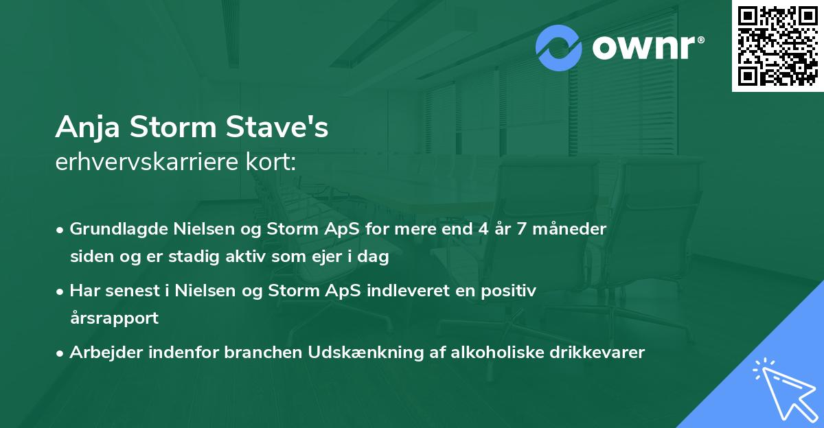 Anja Storm Stave's erhvervskarriere kort