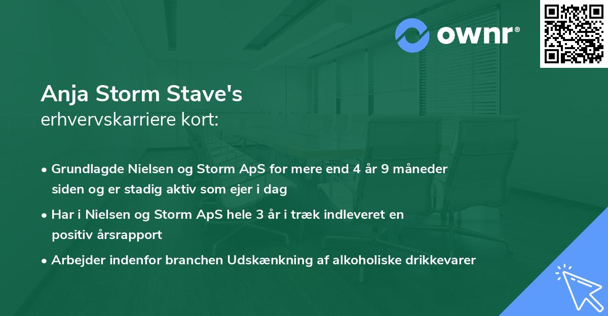 Anja Storm Stave's erhvervskarriere kort