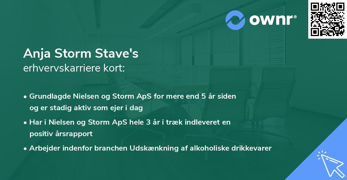 Anja Storm Stave's erhvervskarriere kort