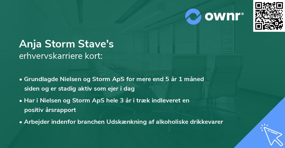 Anja Storm Stave's erhvervskarriere kort