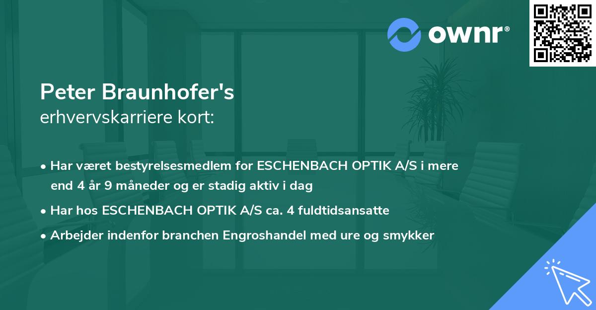 Peter Braunhofer's erhvervskarriere kort
