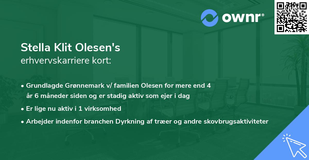 Stella Klit Olesen's erhvervskarriere kort
