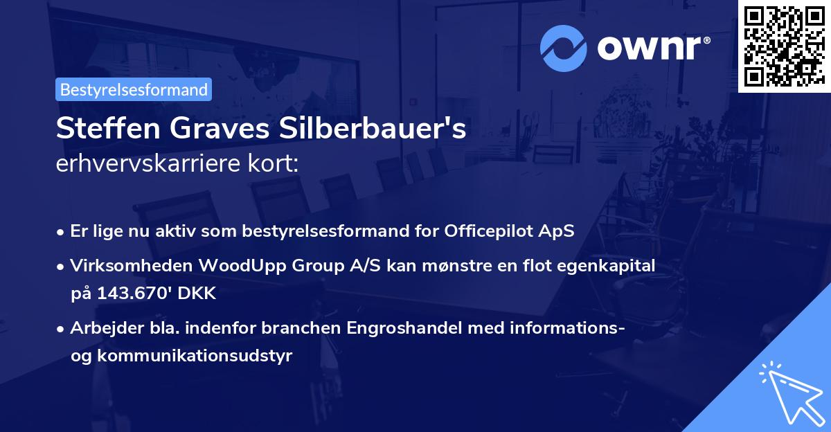 Steffen Graves Silberbauer's erhvervskarriere kort