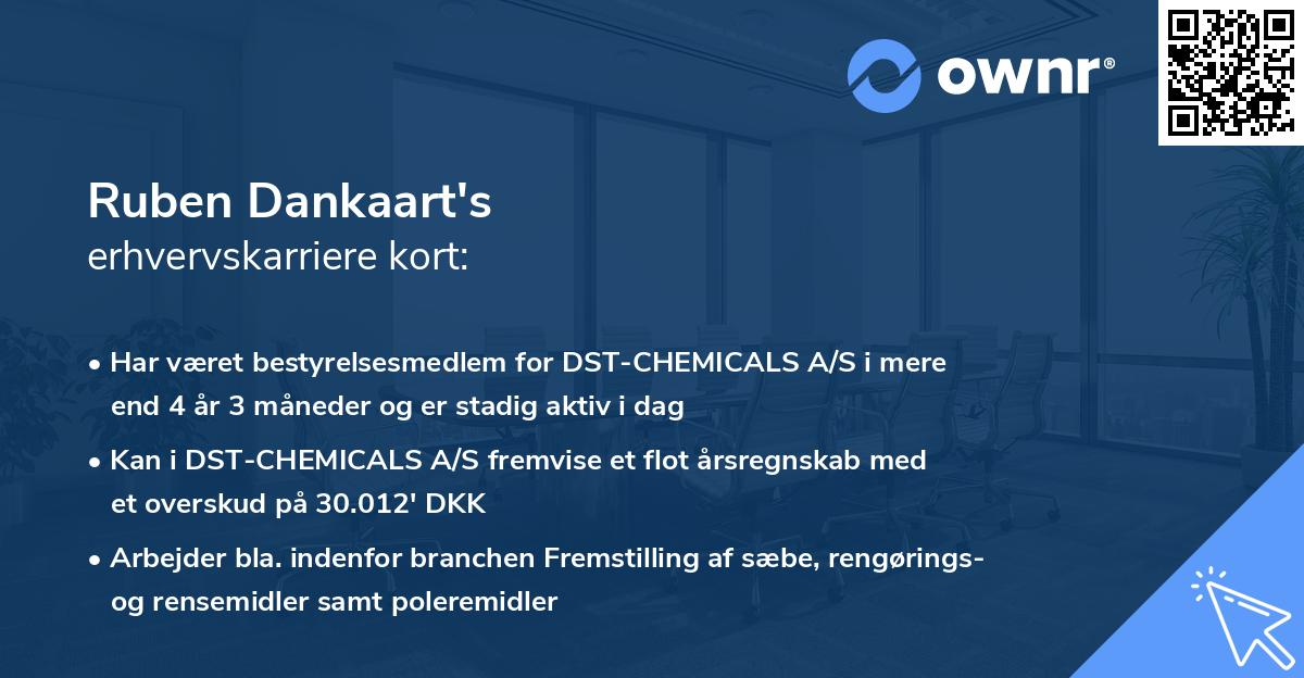 Ruben Dankaart's erhvervskarriere kort