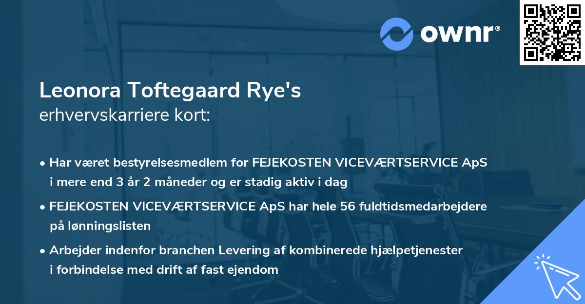 Leonora Toftegaard Rye's erhvervskarriere kort