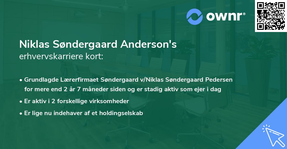 Niklas Søndergaard Anderson's erhvervskarriere kort