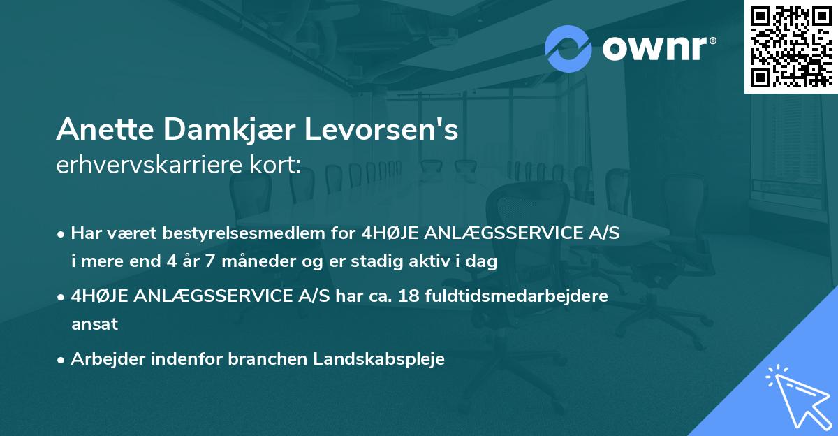 Anette Damkjær Levorsen's erhvervskarriere kort