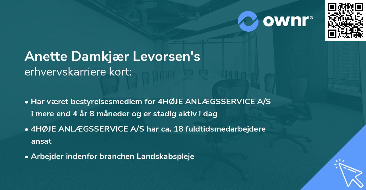 Anette Damkjær Levorsen's erhvervskarriere kort