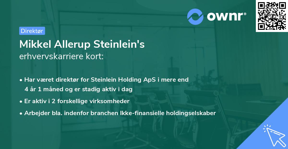 Mikkel Allerup Steinlein's erhvervskarriere kort