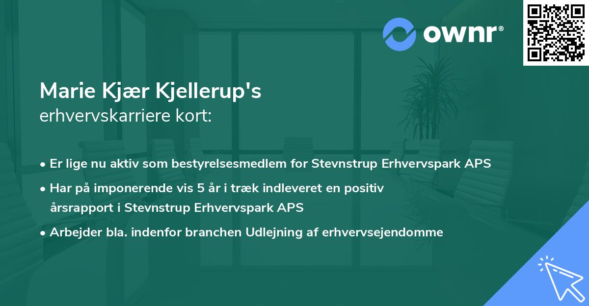 Marie Kjær Kjellerup's erhvervskarriere kort