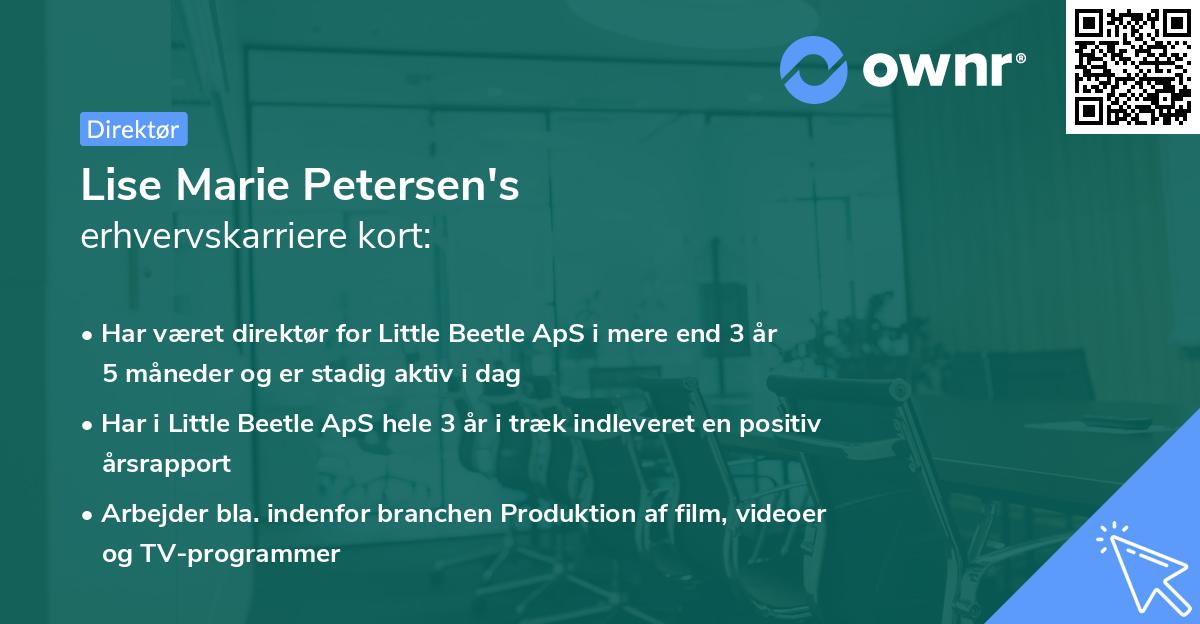 Lise Marie Petersen's erhvervskarriere kort
