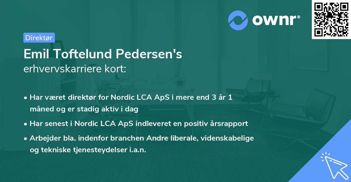 Emil Toftelund Pedersen's erhvervskarriere kort