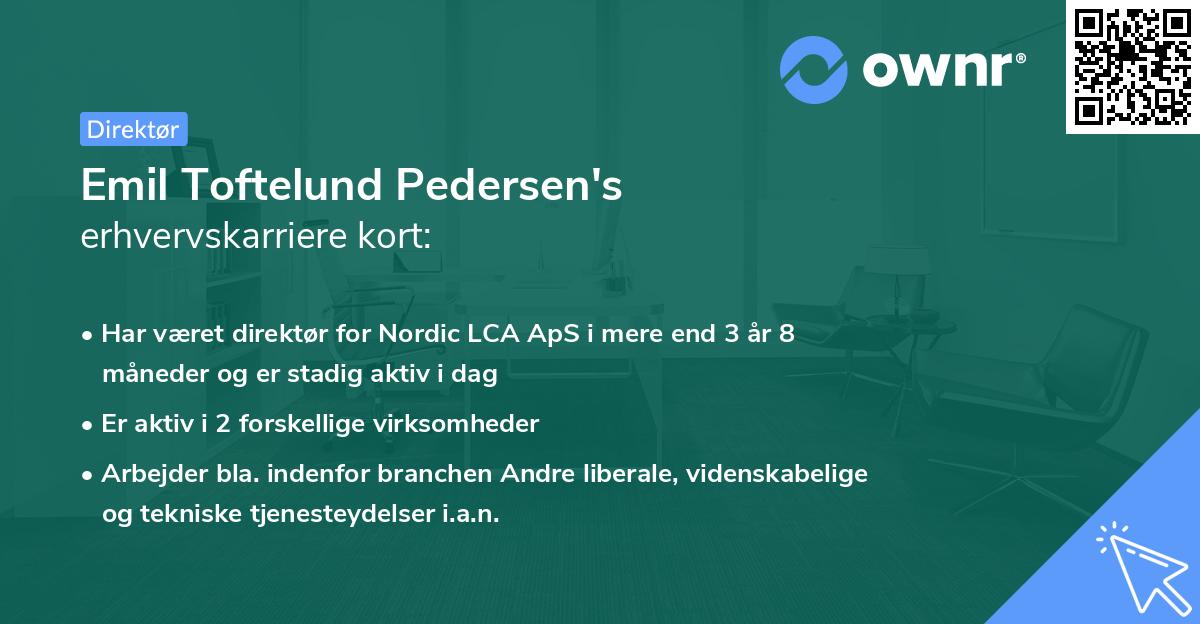 Emil Toftelund Pedersen's erhvervskarriere kort