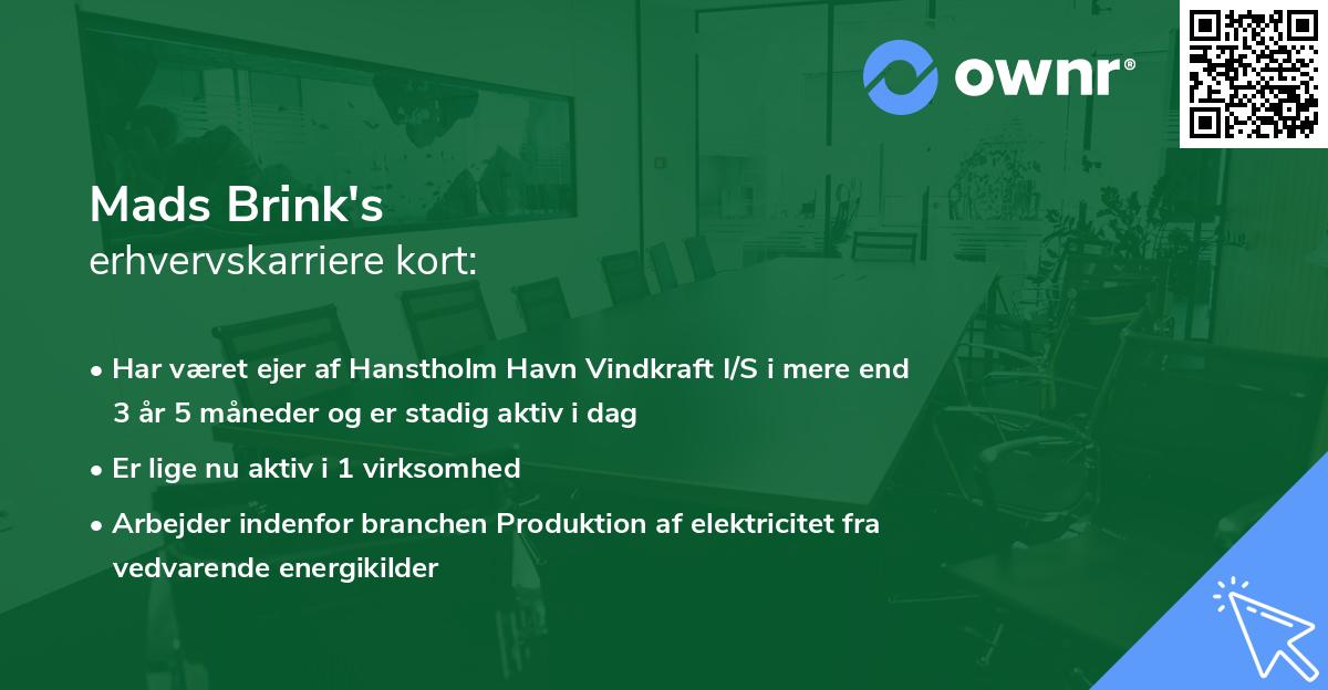 Mads Brink's erhvervskarriere kort