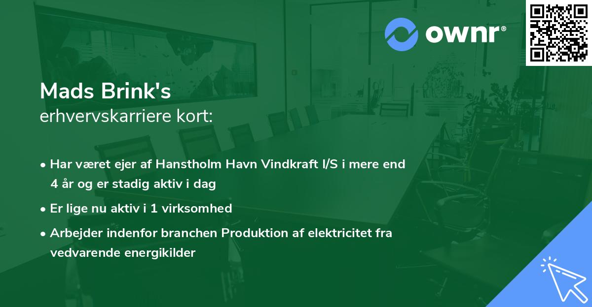 Mads Brink's erhvervskarriere kort