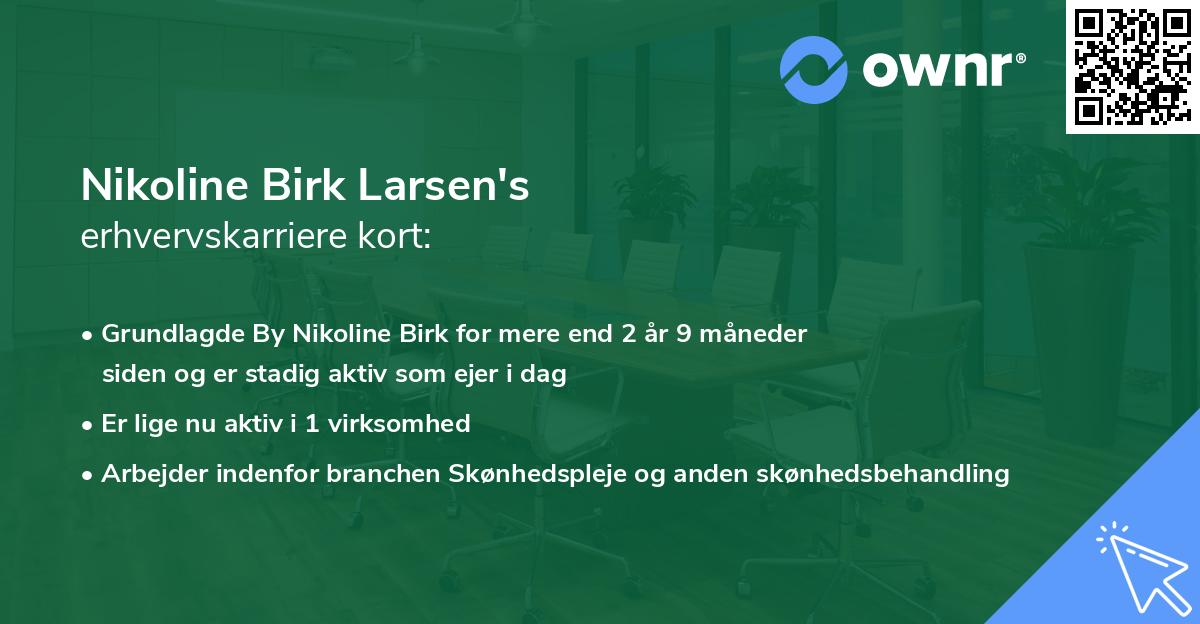 Nikoline Birk Larsen's erhvervskarriere kort