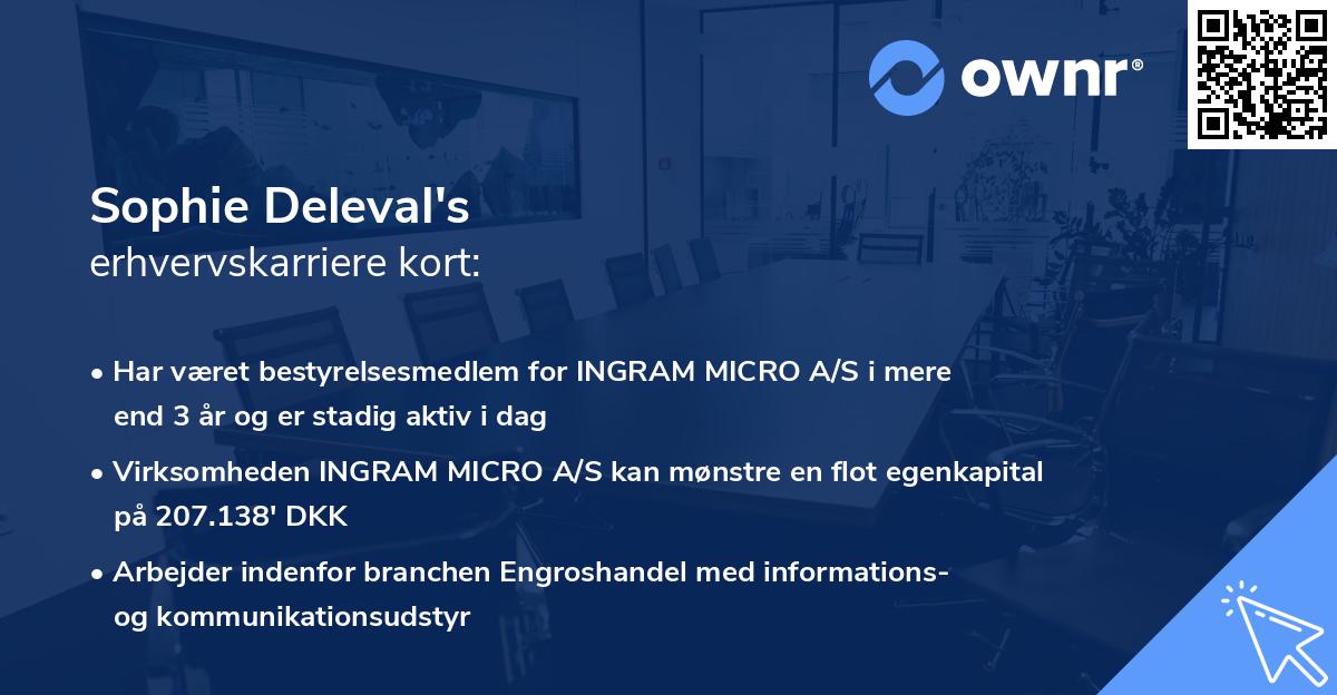 Sophie Deleval's erhvervskarriere kort