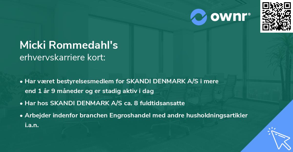 Micki Rommedahl's erhvervskarriere kort