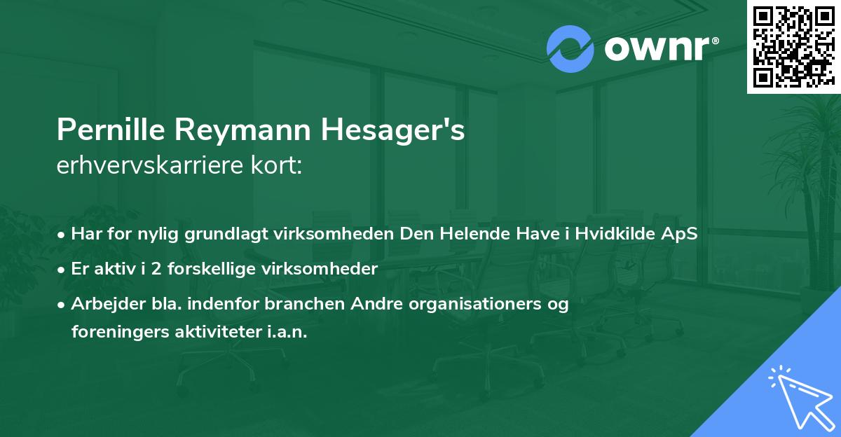 Pernille Reymann Hesager's erhvervskarriere kort
