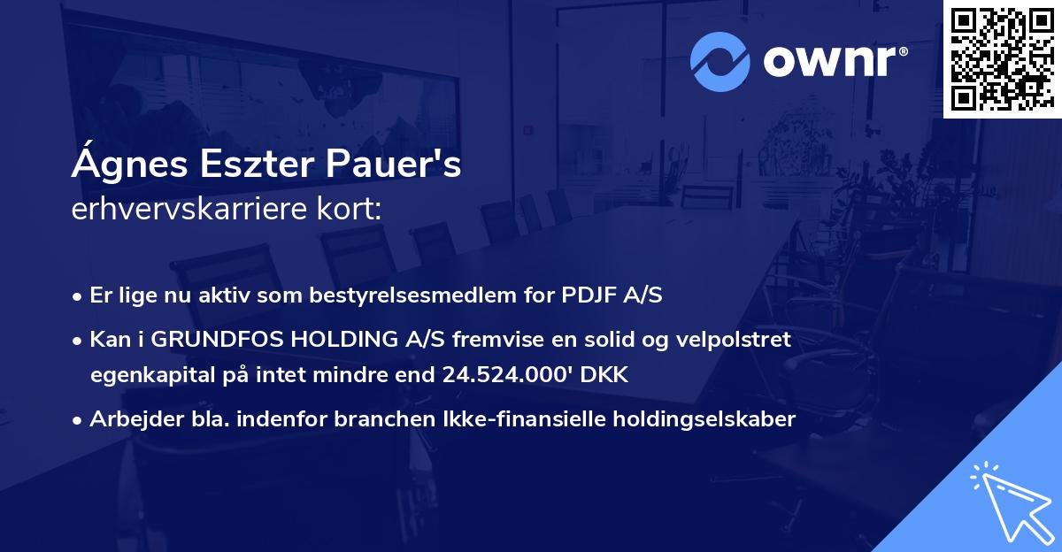 Ágnes Eszter Pauer's erhvervskarriere kort