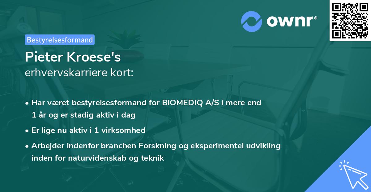 Pieter Kroese's erhvervskarriere kort