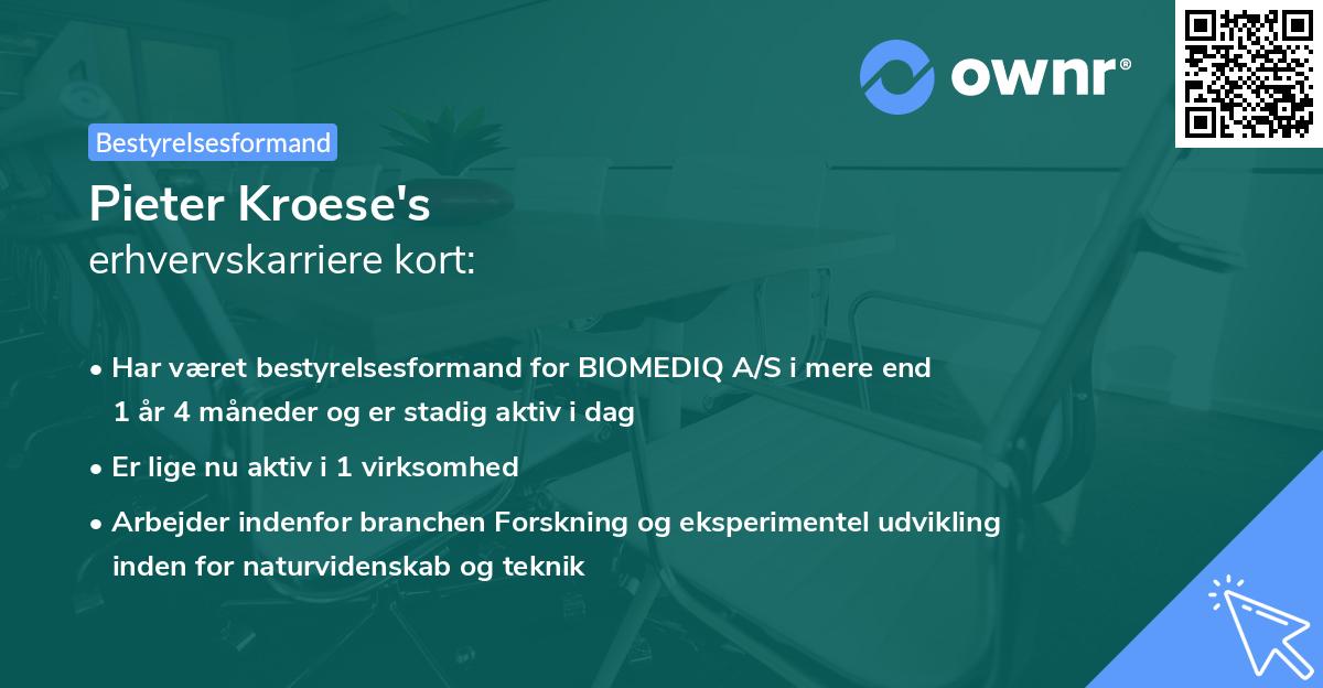 Pieter Kroese's erhvervskarriere kort