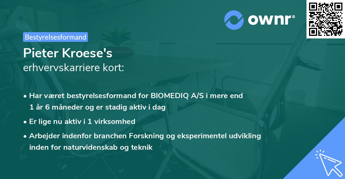 Pieter Kroese's erhvervskarriere kort