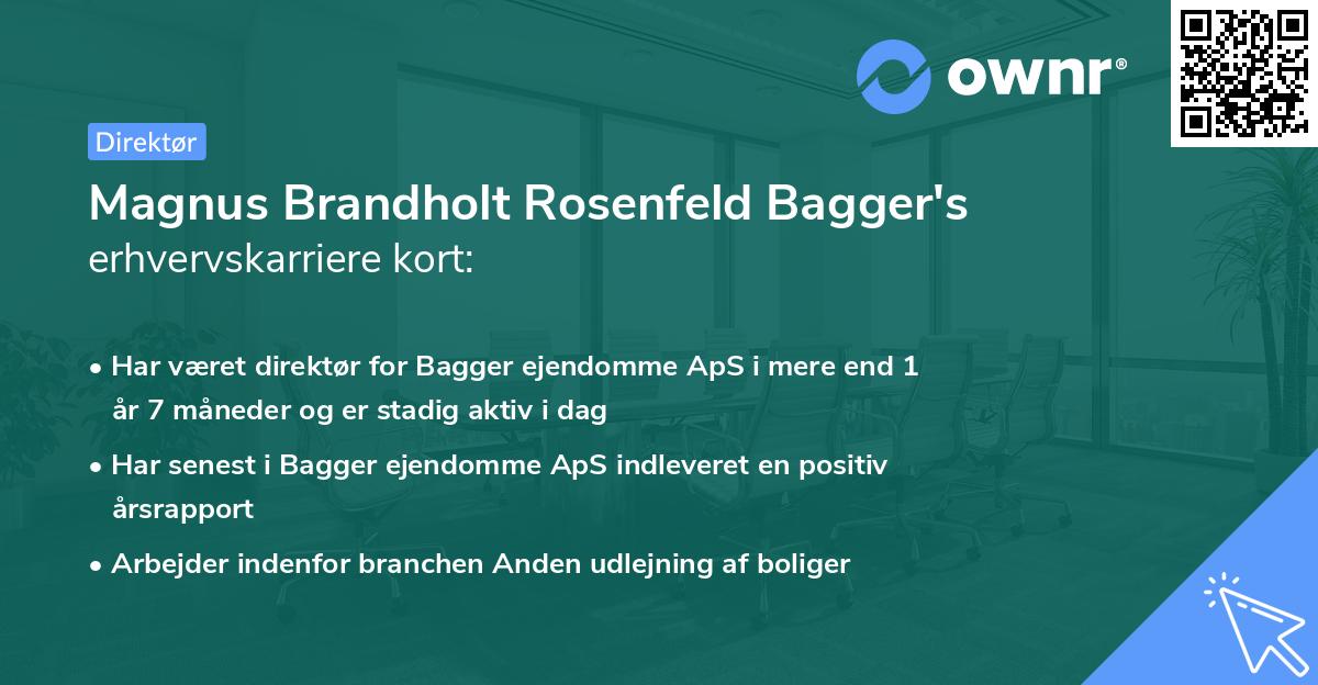Magnus Brandholt Rosenfeld Bagger's erhvervskarriere kort