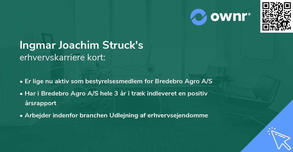 Ingmar Joachim Struck's erhvervskarriere kort