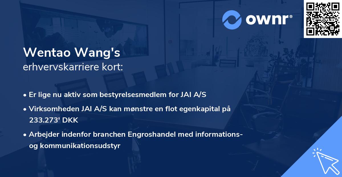 Wentao Wang's erhvervskarriere kort