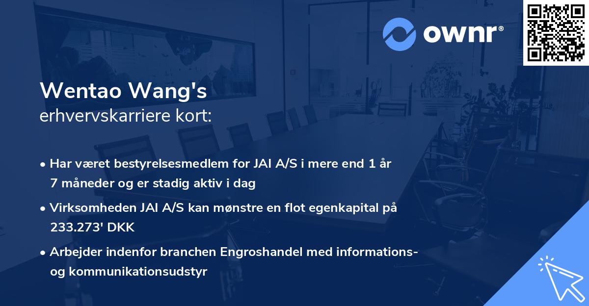 Wentao Wang's erhvervskarriere kort