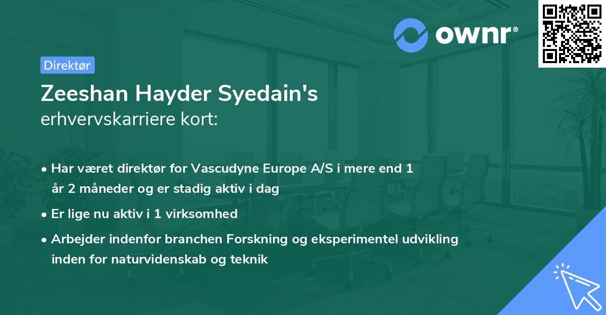 Zeeshan Hayder Syedain's erhvervskarriere kort