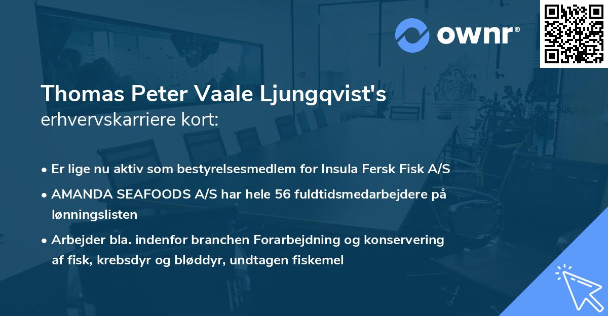 Thomas Peter Vaale Ljungqvist's erhvervskarriere kort
